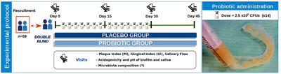 Topic Application of the Probiotic Streptococcus dentisani Improves Clinical and Microbiological Parameters Associated With Oral Health